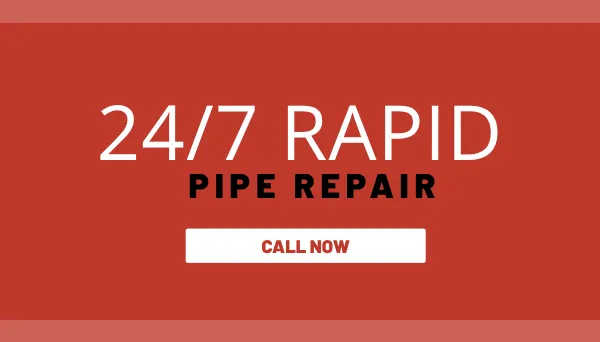 247 Rapid