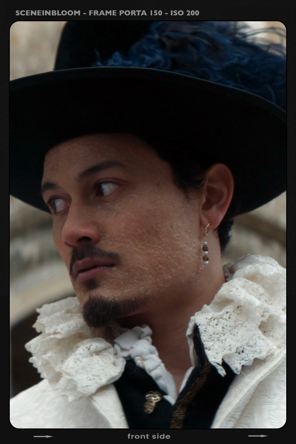 The Ruff's Architecture: Where Lace Becomes a Weapon